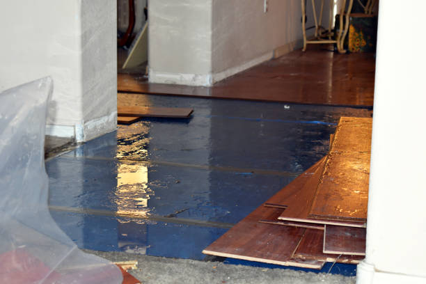 Professional Basement Flood Cleanup technician working in Portage, UT